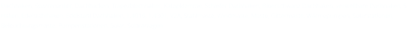 Dachhaken, Sparrenanker, Dachhacken, Trapezblechhalter, Kalzipklemme, Schiefer Dachhaken, Biberschwanz Dachhaken, verstellbare Dachhaken, S Haken, Edelstahlhaken, Edelstahl Dachhaken, 1.4016, 1.4301, V2A, Stahlmaste, Windmaste, Maste, Gittermaste, Wärmepumpen, Solarstationen, Beleuchtungsmaste, Pumpenstationen, Solar, Solaranlagen